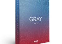 Aubit Sound Gray Vol 2 MULTIFORMAT