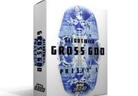 Deedotwill Gross God Vol.1 (Gross Beat Bank)
