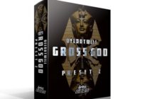 Deedotwill Gross God Vol.2 (Gross Beat Bank)