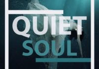 Shobeats Quiet Soul WAV MiDi SYLENTH1 KONTAKT NEXUS OMNiSPHERE PRESETS HAPPY NEW YEAR