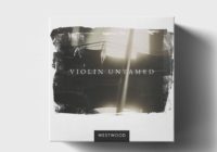 Westwood Instruments VIOLIN UNTAMED KONTAKT