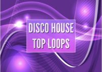 Technique Sounds Disco House Top Loops WAV AIFF