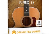 Orange Tree Evolution Jumbo 12 KONTAKT