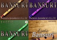 Zion Music Exotic Bansuri Vol.1-4 WAV