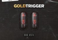 Digikitz Gold Trigger v1.0.0 (AU VST) [WIN OSX]-DECiBEL