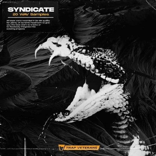 Trap Veterans Syndicate WAV