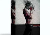 iBEENART The Gallery (Drum Kit)