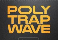 Splice Originals Polytrapwave WAV