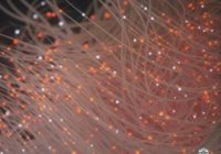 Splice Sounds Ahee: Analog Archive WAV