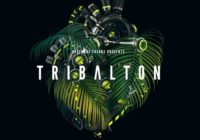 Tribalton by Basement Freaks Multiformat