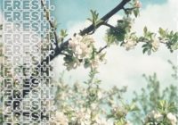 Fresh - Future Chill Sample Pack WAV