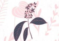 Rosewood: Organic Lo-Fi Sample Pack WAV