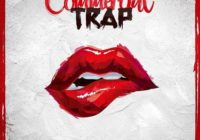 2Deep Commercial Trap WAV MIDI PRESETS