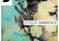 Samplephonics Cyclic Ambience MULTIFORMAT