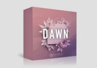 Skifonix Sounds Dawn Future House MULTIFORMAT
