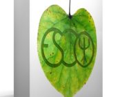 Triple Spiral Audio & European Sound Collective Deep Forest For Omnisphere 2
