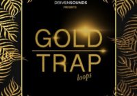 DRIVENSOUNDS Gold Trap Loops WAV