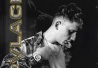 Splice Pvlace Michelangelo of Melodies Vol. 1 WAV