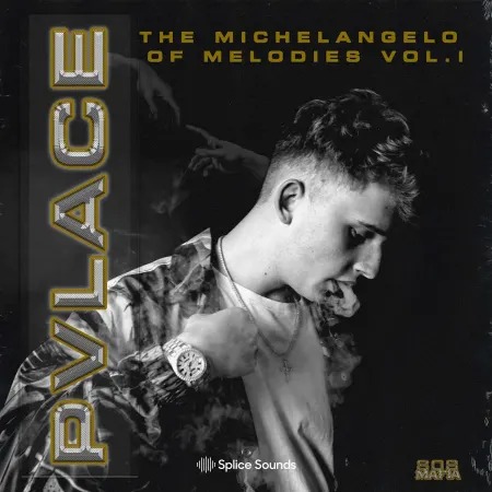 Splice Pvlace Michelangelo of Melodies Vol. 1 WAV
