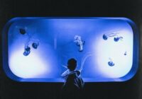 Touch Loops Aquarium Dream WAV MIDI