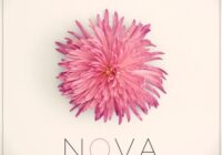 Unmüte Nova For Serum