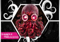 Sample Tweakers Percussionism WAV