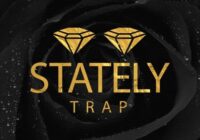 Kryptic Samples Stately Trap Vol.2