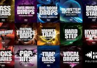 Polysonic Samples & Preset Packs Bundle