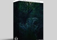 RazzBeats Before Dawn (Loop Pack) WAV