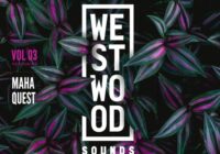 Westwood Sounds Vol 3 - Maha Quest