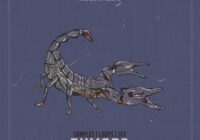 King Loops Rumors Edition Bundle
