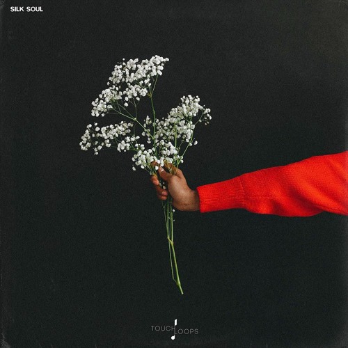 Touch Loops Silk Soul Sample Pack