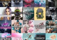 Soundsmiths Sample Packs Bundle