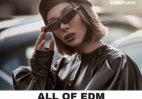 Seven Sounds All Of EDM [WAV MIDI PRESETS]