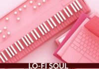 Lofi Soul Instrumentals V2 WAV