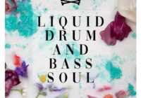 Liquid Drum And Bass Soul Sample Pack WAV