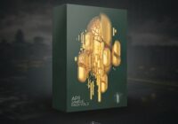 AP11 Sample Pack Vol.2 WAV