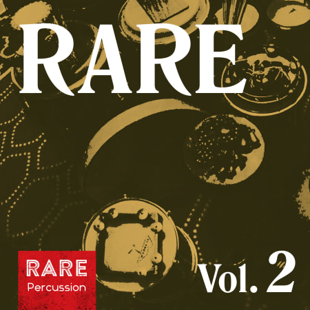 RARE Percussion RARE Vol.2 WAV