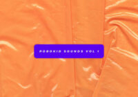Robokid Sounds Sample Pack WAV