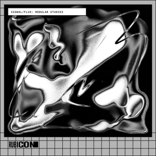 Rubicon Signal Flux Modular Studies
