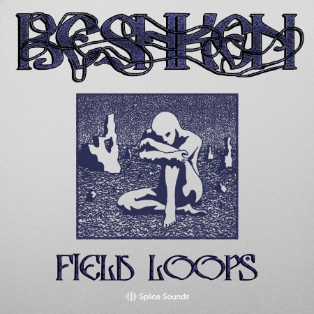 Splice Beshken Field Loops WAV