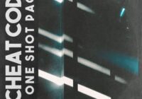 Shoe (100+) CHEAT CODE One Shot Pack WAV