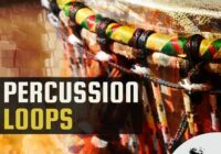Chop Shop Samples Percussion Loops WAV
