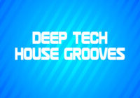 Deep Tech House Grooves