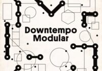 SM WHite Label Downtempo Modular WAV