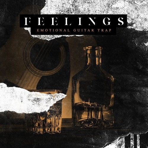 Feelings - Emotional Guitar Trap WAV