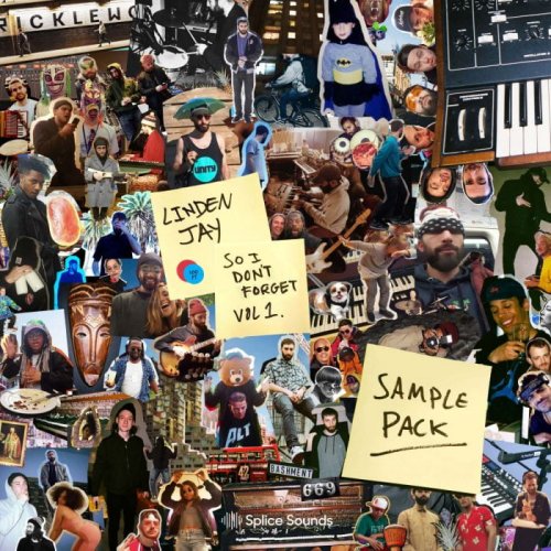  Linden Jay So I Dont Forget Sample Pack