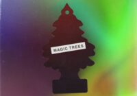 Magic Trees Bouncy Trap And Hip Hop