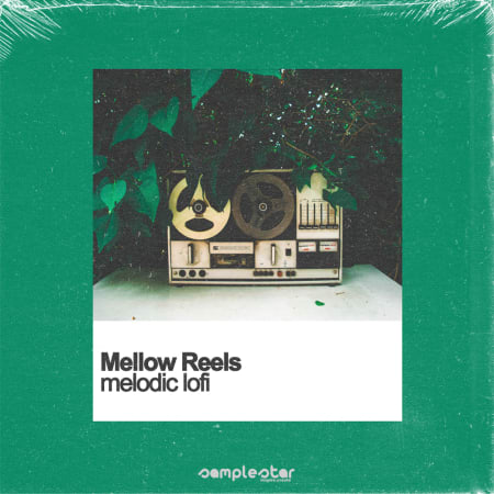 Samplestar Mellow Reels: Melodic Lofi WAV