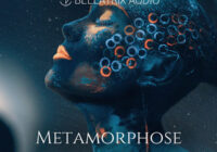 Metamorphose